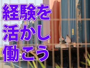 【トレーラー ドライバー 求人募集】-大阪市住之江区- 安定的に稼げます!
